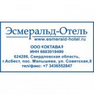 Штампы с реквизитами в Королеве